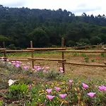 Sondela Self Catering Chalet