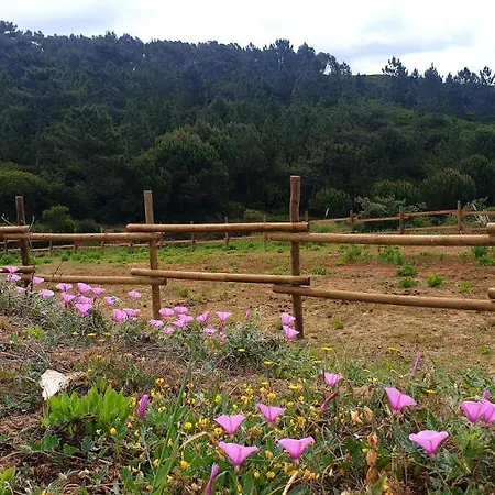 Sondela Self Catering 木屋