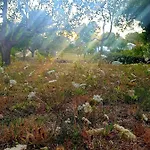 Alpehytte Sondela Self Catering São Martinho do Porto