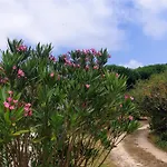 Sondela Self Catering São Martinho do Porto