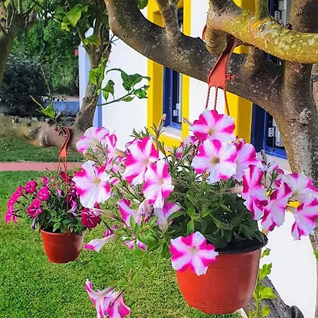 Sondela Self Catering * Сан-Мартинью-ду-Порту