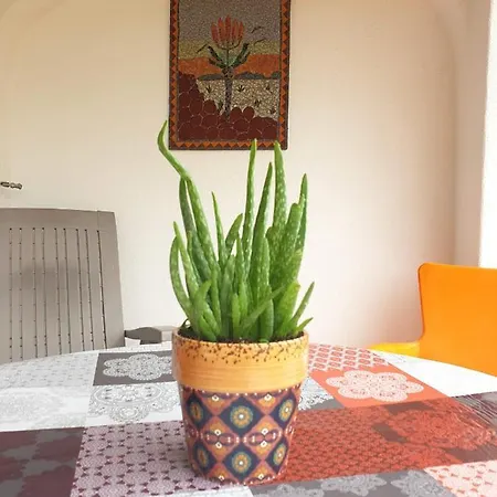 Sondela Self Catering Chalet