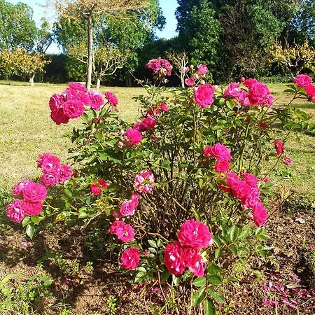 Sondela Self Catering Chalet São Martinho do Porto
