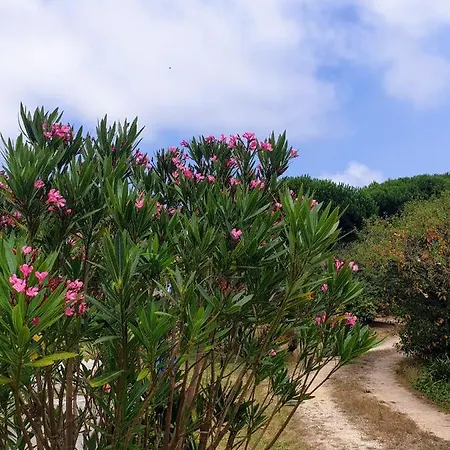 Sondela Self Catering Sao Martinho do Porto