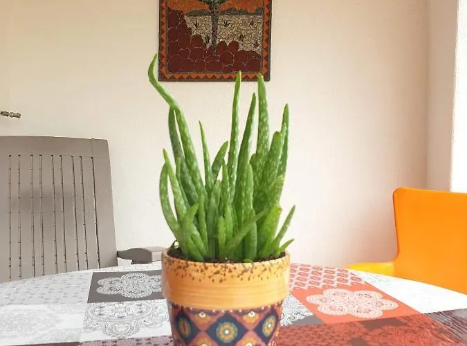 Sondela Self Catering 木屋